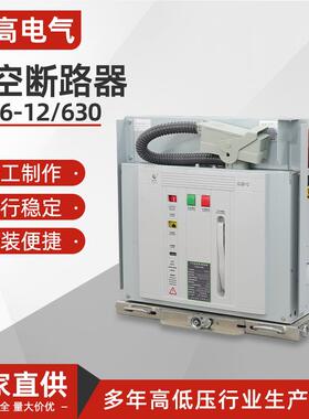 GVS6-1263010kV真空ZN63断路器VS1-12高压630户内1250手车固封