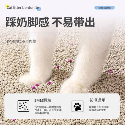 新款公斤猫砂膨润土天然钠基矿砂低尘快速结团不沾底猫砂