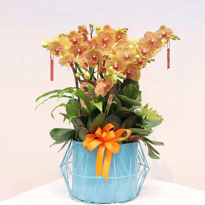 聚宝盆柳宵金属福花盆银蝴蝶兰假花桶花插花摆件轻冬青年菱形花奢