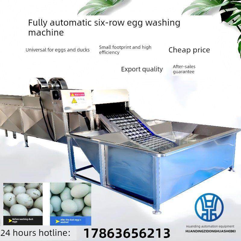 农场鸡蛋去泥清洗机，鸡蛋清洗，喷油流水线，鲜鸡蛋盐水浸泡洗蛋,清洗/食品/商业设备,打蛋机/洗蛋机/磕蛋机,淘宝优惠券,粉丝福利购,淘宝优惠卷