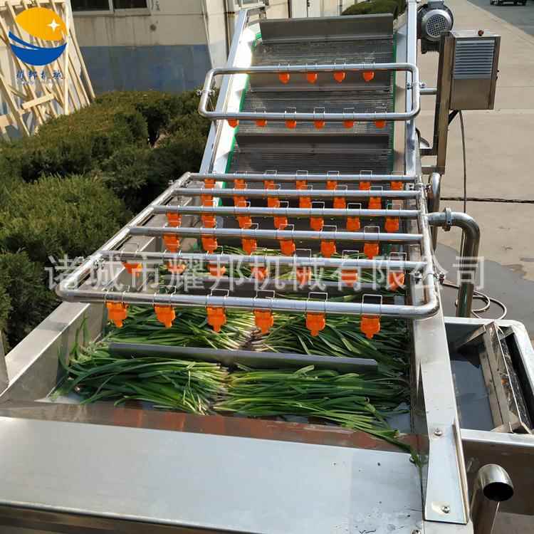 气器泡式果蔬清洗机 洗菜蒜JEY黄韭大葱机菜 自动洗油菜机