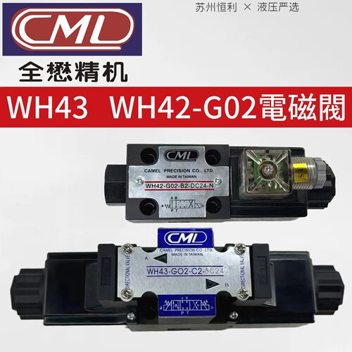 WH42 WH43-G02-C2/C4/B2/D2/C60-DC24-N AC110 240全懋CML电磁阀