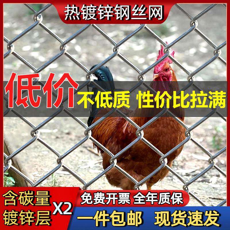不生锈的铁丝网格镀锌钢丝网围栏菜园护栏网家用养鸡防护养殖铁网