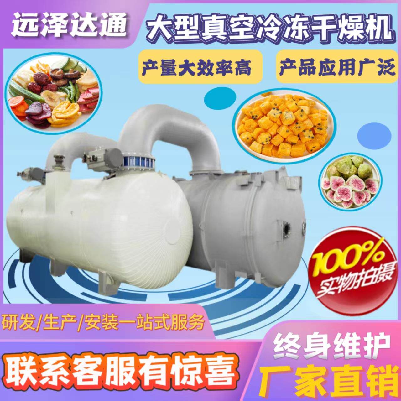 高产量商用饼干咖啡糖果酸奶块冻干机 智能FD干燥机 低温冻干机