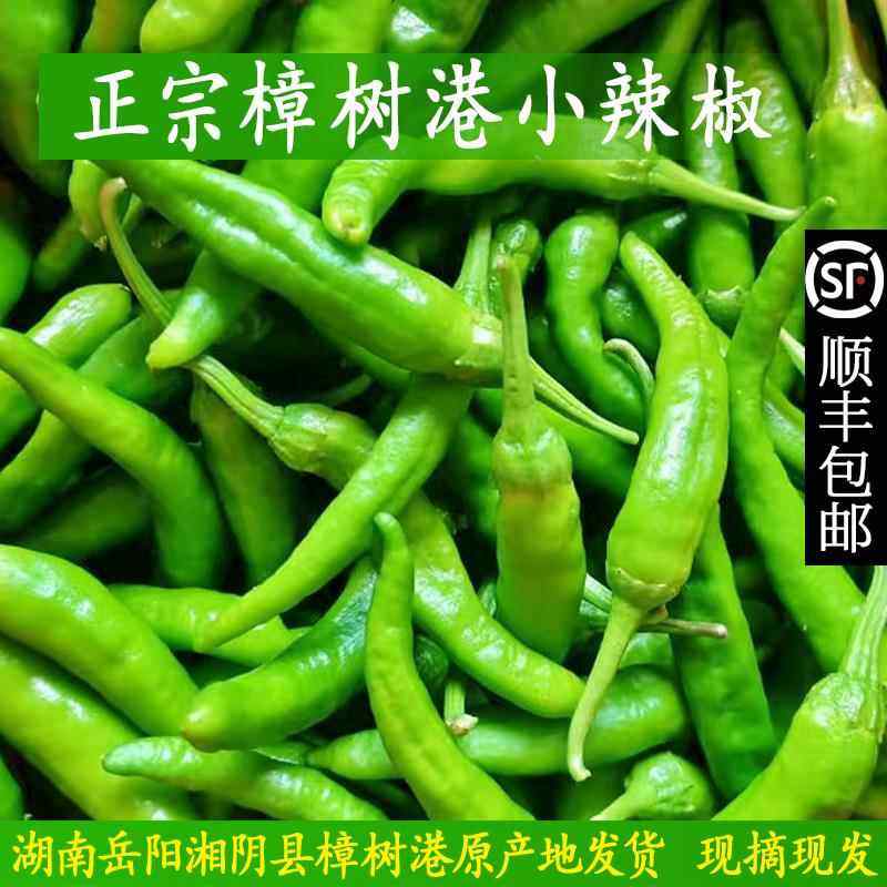 正宗湖南樟树港辣椒本地特产农家现摘新鲜薄皮湘阴樟树港辣椒下饭,水产肉类/新鲜蔬果/熟食,辣椒,淘宝优惠券,粉丝福利购,淘宝优惠卷