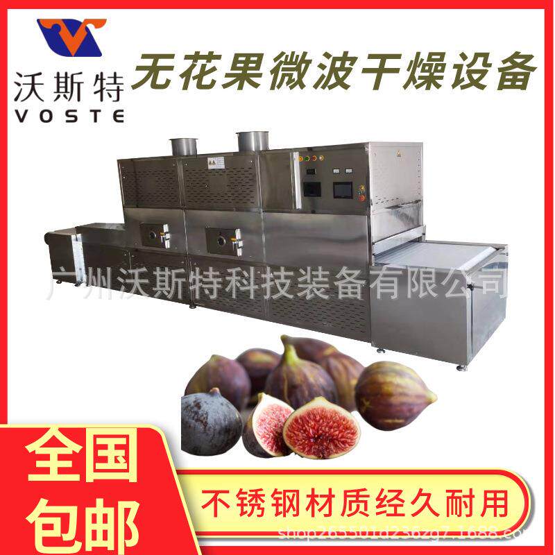 无花果微波干燥设备果蔬烘干机全自动苹果干脱水设备