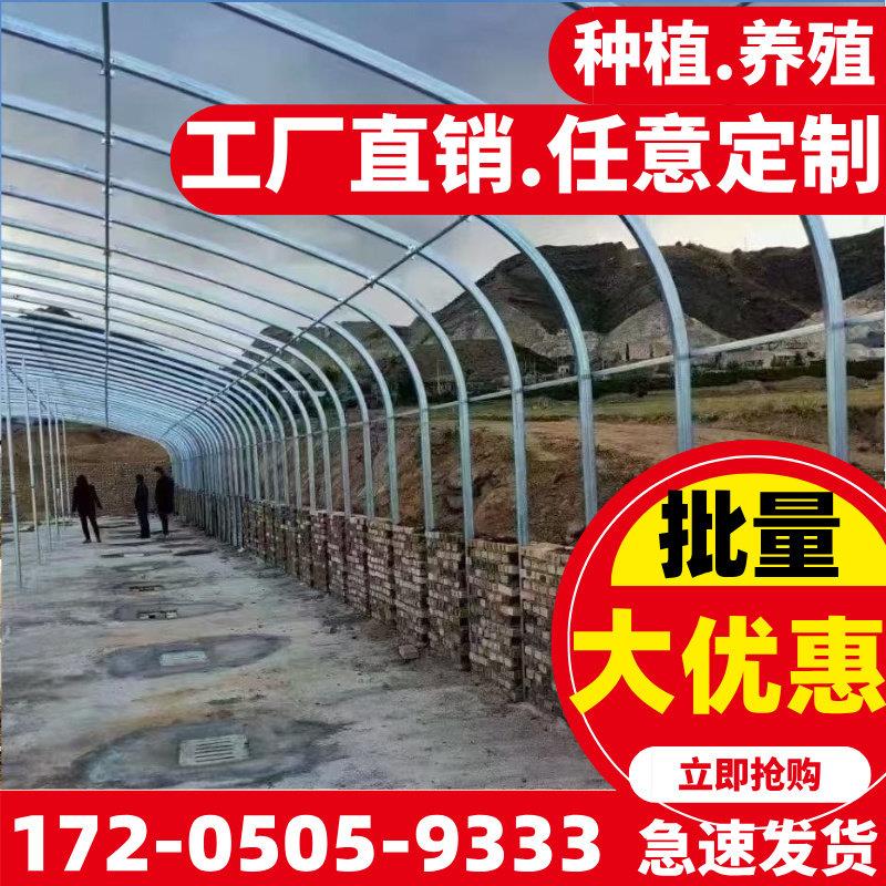 温室钢管大棚骨架养殖种植暖棚全套猪鸡舍钢架连栋组装简易蔬菜棚