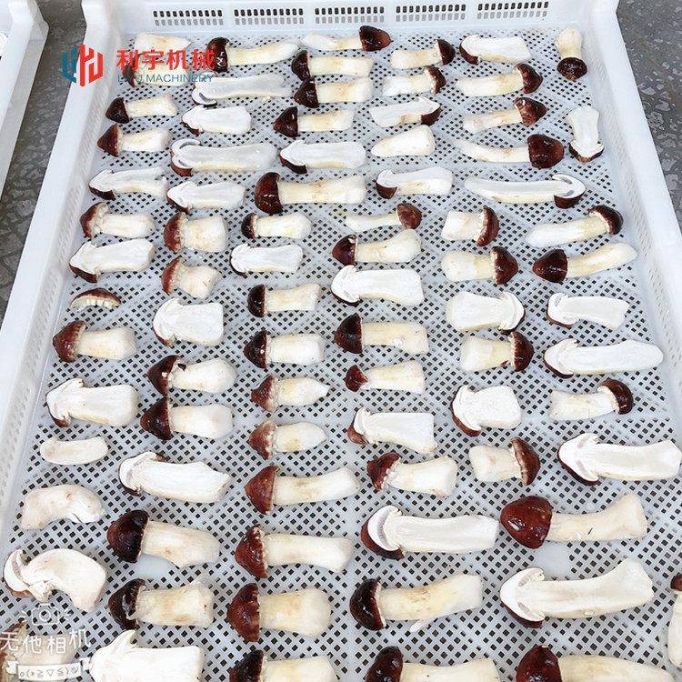 香菇烘干机制造商 大型食品烘干设备 辣椒烘干机利宇机械