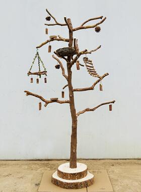 原木鸟架中大型鹦鹉站架树枝小鸟站杆玄凤牡丹太阳鸟用品鸟笼架子