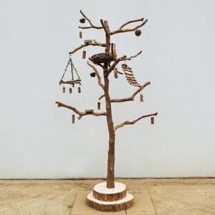 原木鸟架中大型鹦鹉站架树枝小鸟站杆玄凤牡丹太阳鸟用品鸟笼架子