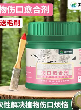 艾尚棵剪枝伤口愈合剂植物果树涂抹剂树木盆景愈合膏林木跨境园艺