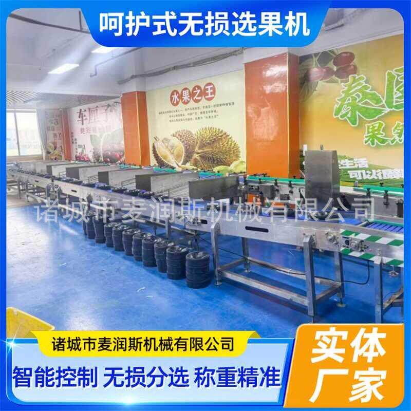 定制无损果分选机 全自动无损选果机 哈密瓜分选机 精度