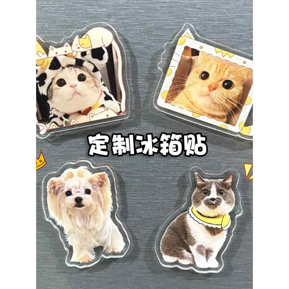 亚克力宠物冰箱贴定制卡通猫咪狗狗照片创意可爱DIY磁吸贴