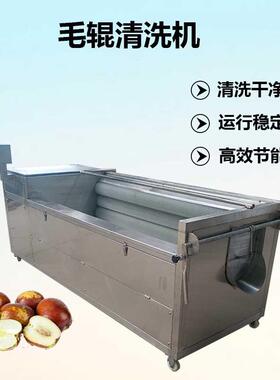 厂家现货毛刷清洗机红枣核桃花生清洗机药材去泥U型毛辊清洗机