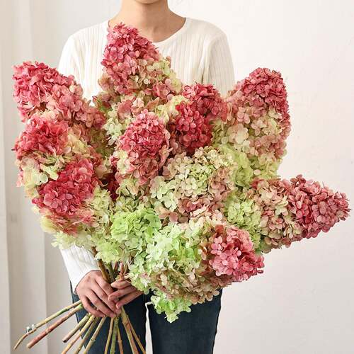 天然绣球永生花高级感真花干燥花花束客厅桌面装饰轻奢高端花瓶插