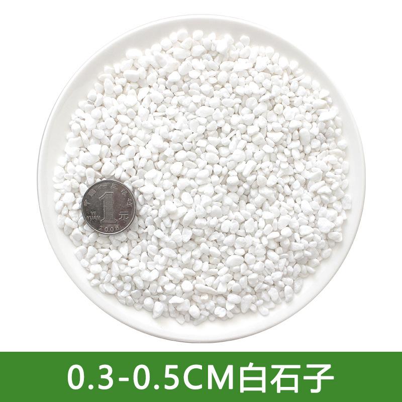 鹅卵石白色石子石子石头石头粗沙