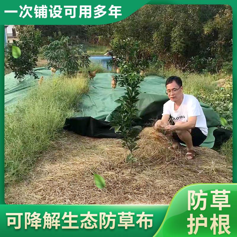绿黑双色农用果树除草布防草布透气渗水除草膜防草膜地布可降解