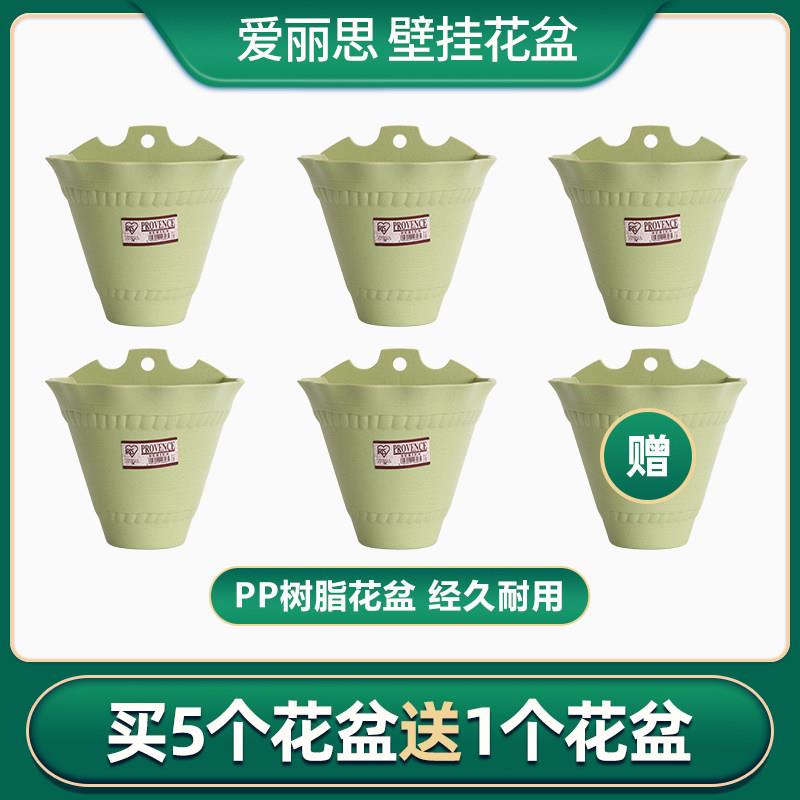 爱丽丝花盆2021新款大号吊兰蝴蝶兰多肉北欧简约树脂壁挂IRIS