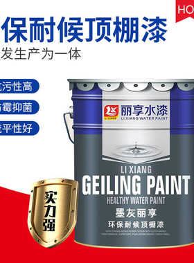 墨灰丽享环保耐候顶棚漆 墙面顶棚漆家装室内喷顶水漆顶棚漆