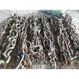 越南进口过江龙藤条插花装饰干支餐厅样板房装饰枯藤软装橱窗摆放