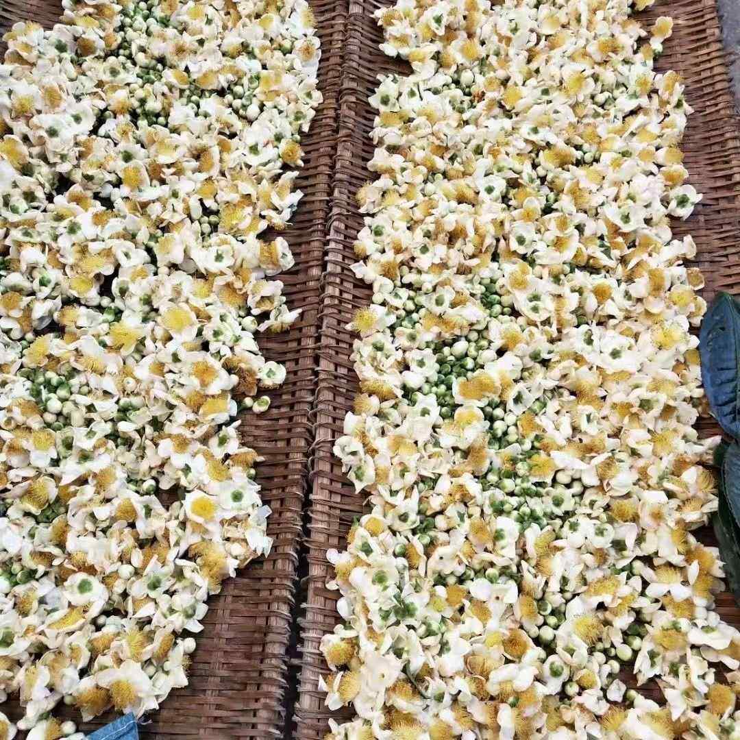 云南古树茶花普洱生茶叶干花泡水蜜香散装新围炉煮茶花香蜜韵,茶,再加工茶/配方茶/调味茶,淘宝优惠券,粉丝福利购,淘宝优惠卷