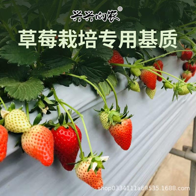 新款直销兴农草莓营养土50升基质种植土土壤大量专用基质土花土泥