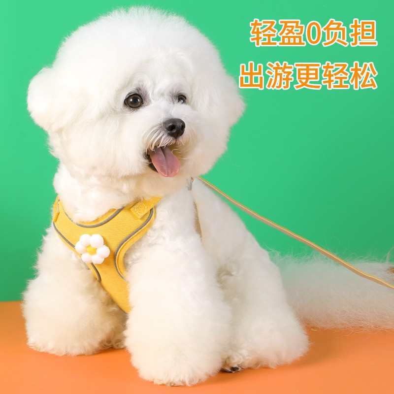 狗狗牵引绳小型犬狗绳子胸背带比熊泰迪可爱网红遛狗牵引绳背带式