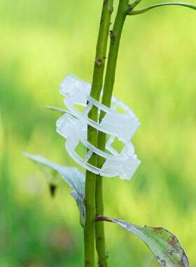 100 Pieces Plant Support Clips Greenhouse Vegetable Ties
