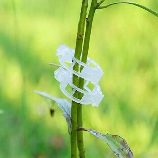 Support Plant Pieces Ties Greenhouse Vegetable Clips 100