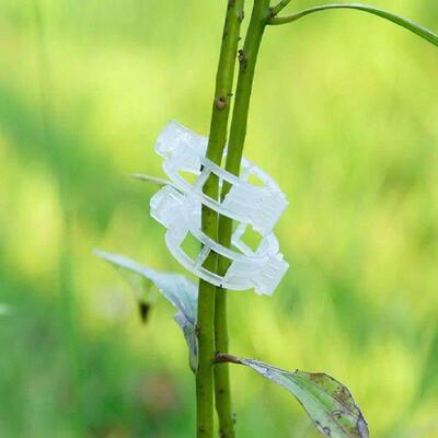 100 Pieces Plant Support Clips Greenhouse Vegetable Ties