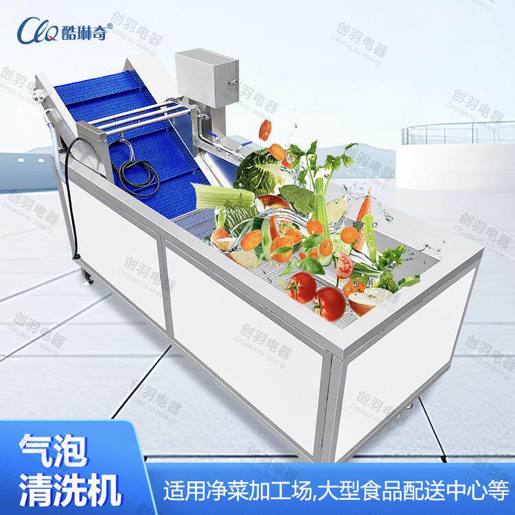 商用果蔬臭氧消毒气泡洗菜机樱桃清洗机设备土豆清洗去泥设备