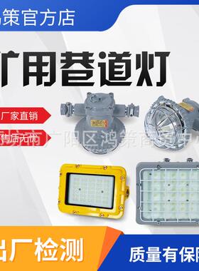 矿灯煤矿专用DGC18/127L矿用隔爆型LED支架灯煤矿井下防爆巷道灯