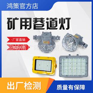 127L矿用隔爆型LED支架灯煤矿井下防爆巷道灯 矿灯煤矿专用DGC18