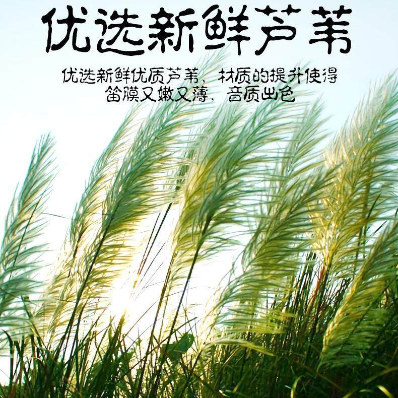 高级精品笛膜套装专业演奏横笛笛子笛膜竹笛液体胶笛膜胶芦苇笛膜