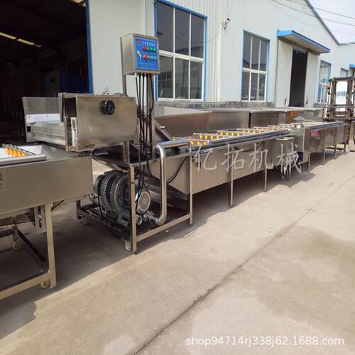 机械净菜加工设备TY-6000型高压喷淋气泡清洗机果蔬清洗