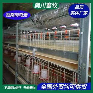 元宝肉鸡笼三层两门立体式蛋鸡笼养殖专业框架粪盘养鸡场肉鸡笼子