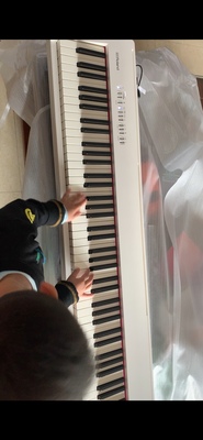 专业评测Roland罗兰电钢琴FP10怎么样?用过说下实情真相