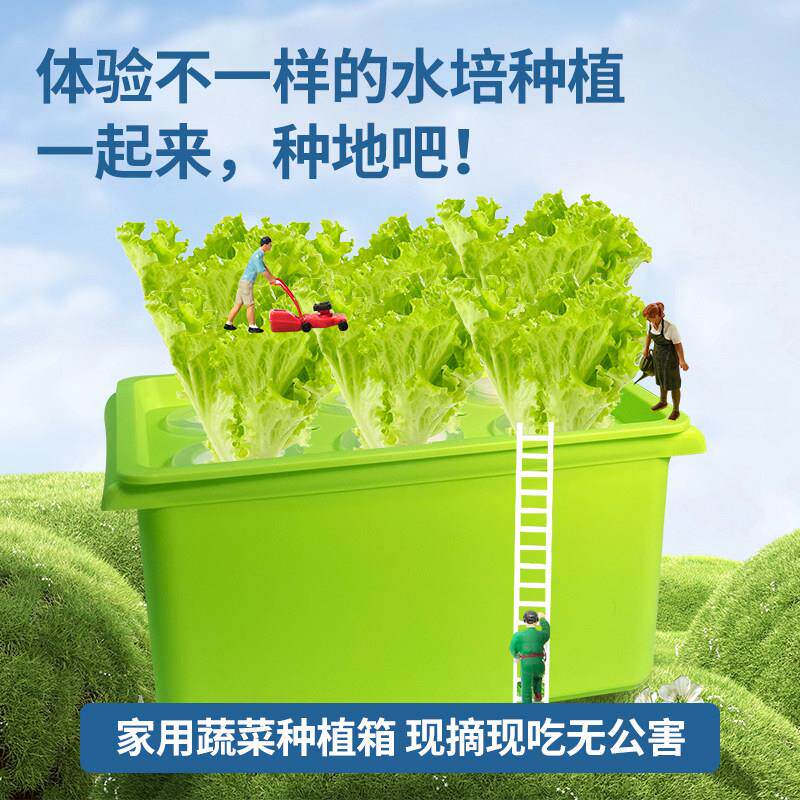 家用蔬菜种植箱水培花盆阳台种菜盆方形多排水孔现摘现吃