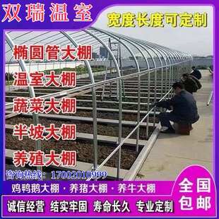 镀锌管大棚钢管骨架椭圆管种植多肉蔬菜养猪养羊大棚钢架温室养殖