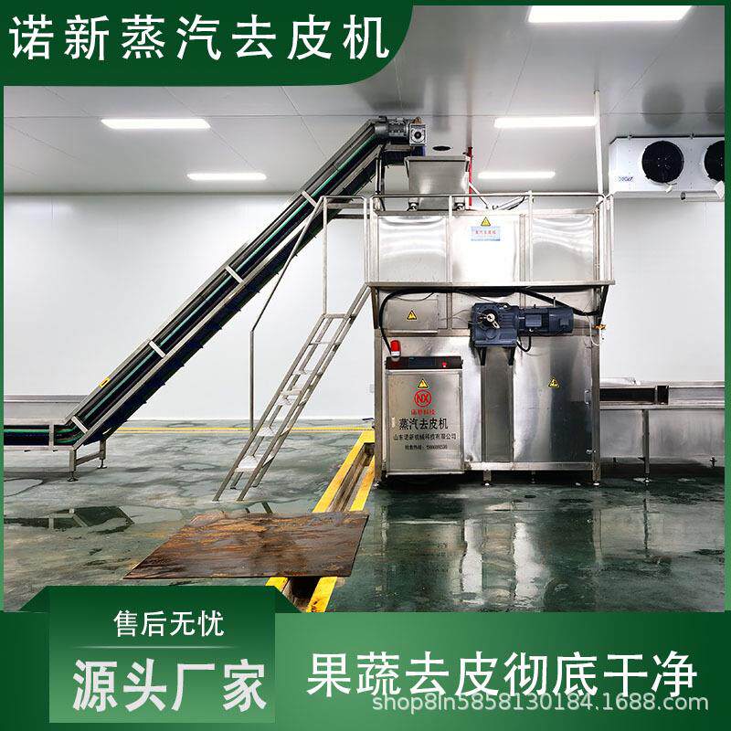 不锈钢果蔬蒸汽去皮机葡萄黄桃批量脱皮机器红薯土豆去皮设备