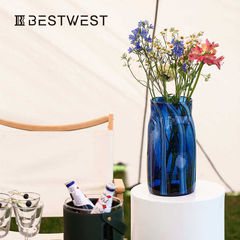Best west 深蓝色异形不规则玻璃花瓶摆件高级感家居客厅水培花器