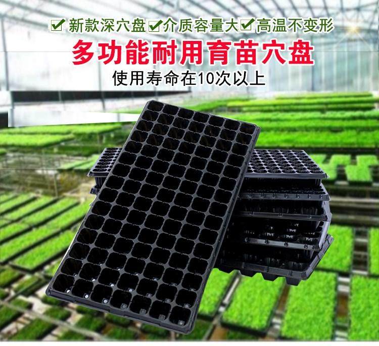 Multi-meat basin seedling Tray Special 128-point tray在類目 鮮花速遞/花卉仿真/綠植園藝, 園藝用品, 育苗盤/營養鉢中 - 來自Buy2taobao.com提供專業的淘寶代購服務
