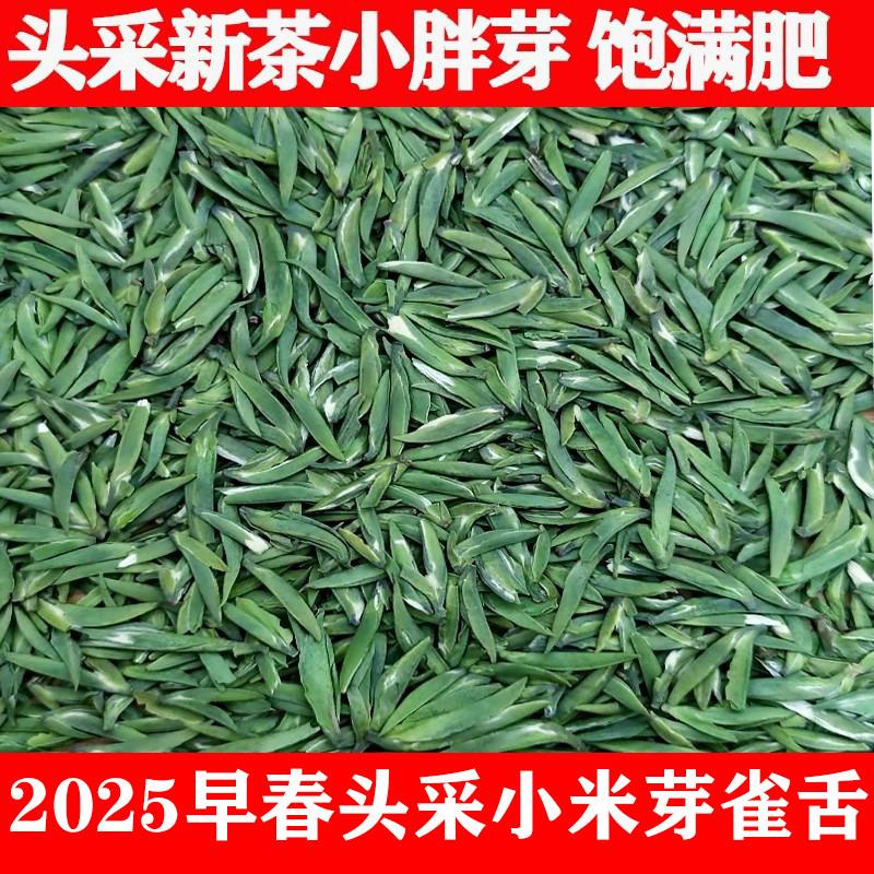 头采雀舌绿茶茶叶特级2025新茶春茶散装雅安蒙顶山茶叶礼盒装250g