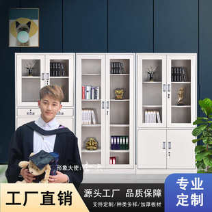 钢制办公文件柜铁皮柜档案资料柜财务凭证带锁储物书柜收纳柜厂家
