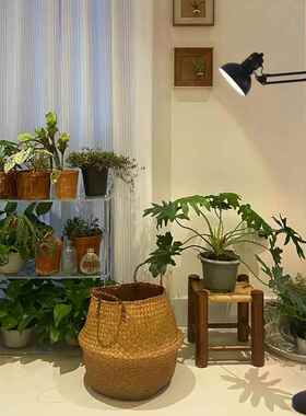植折灯叠落地灯全光谱补光灯落地生长灯多肉花款草补PBY光促生物