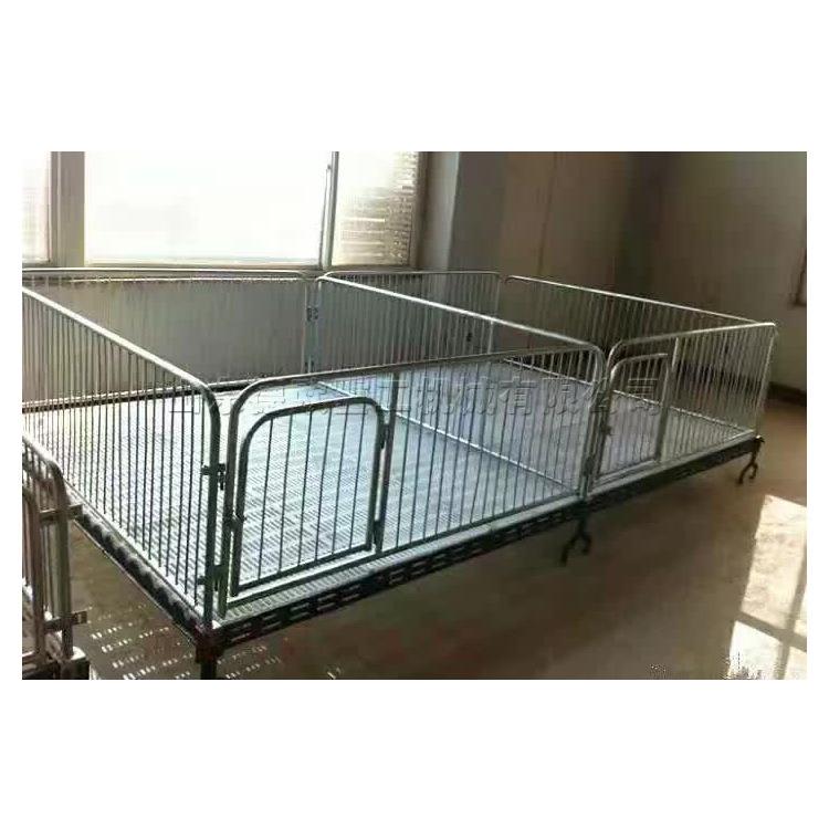 复锌合板母猪NPJ产定床镀崽材料仔猪保育位栏双体自动控温产床