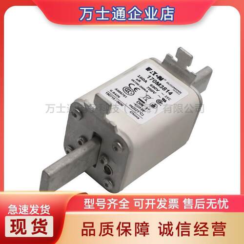 170M3208/3209/3210/3211/3212/3213/3214/3215全新熔断器现货