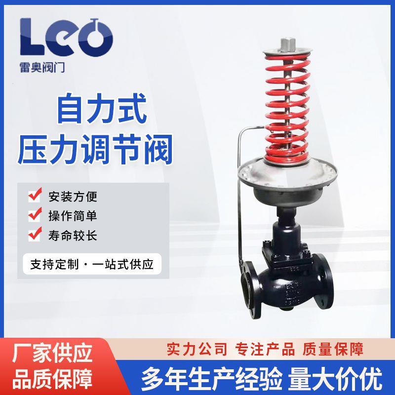 精度高自力式压力调节阀高压高温高压调节阀两通压差控制阀厂家