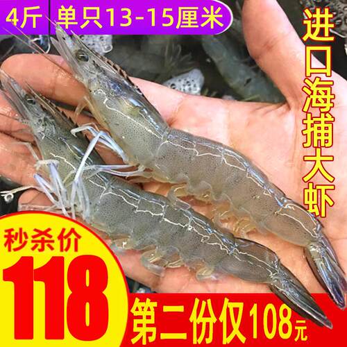 大虾鲜活冷冻超大海虾王牌明虾特大青虾白对虾基围虾青岛海鲜水产