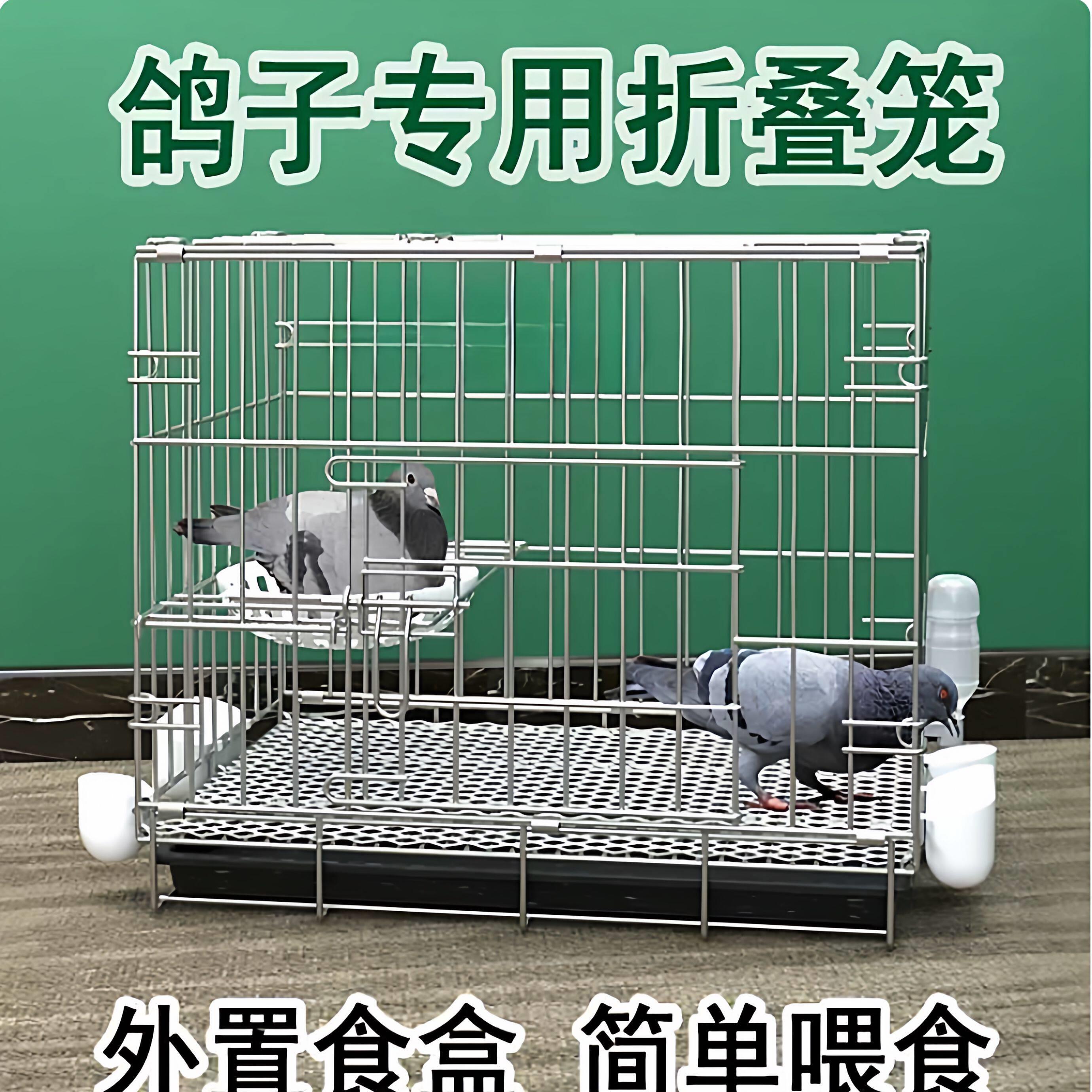 鸽子笼养鸽子专用笼养殖笼家用繁殖笼配对笼大号新型鸽舍鸽子笼子图片